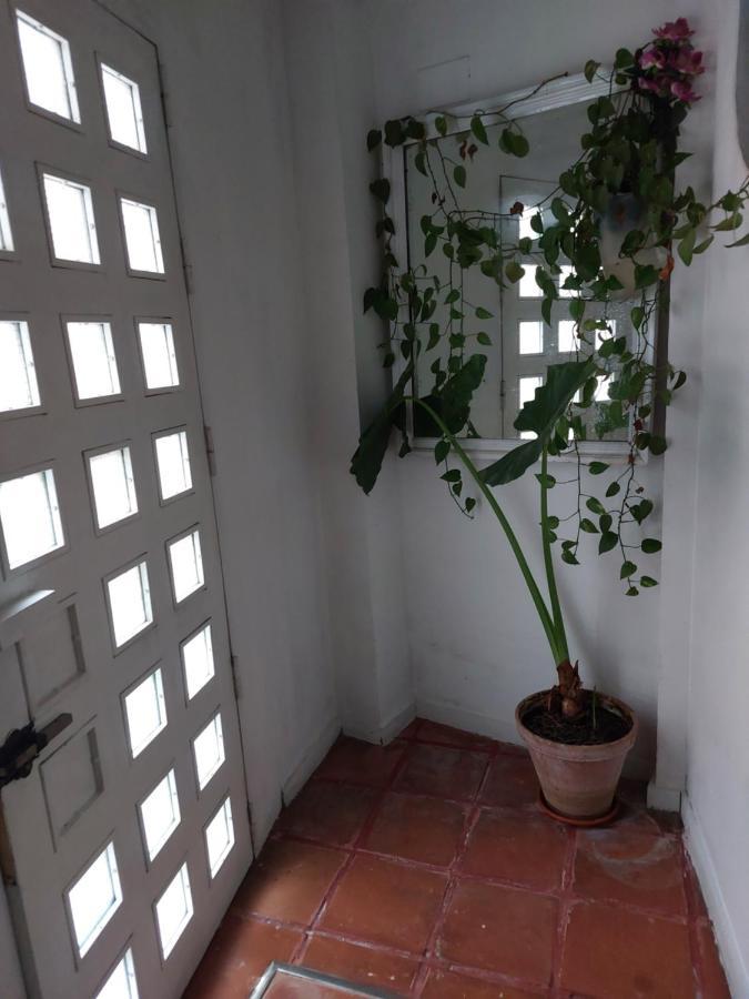 Apartamento Tipo Loth Alameda Севилья Экстерьер фото